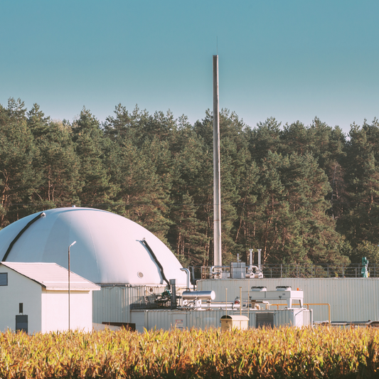 BIOGAS - EN HÅLLBAR ENERGIKÄLLA