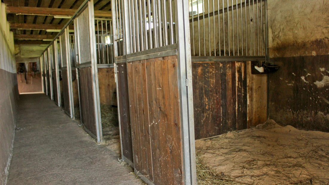 Rätt strö för hästarna - bättre för stallmiljön och framtiden