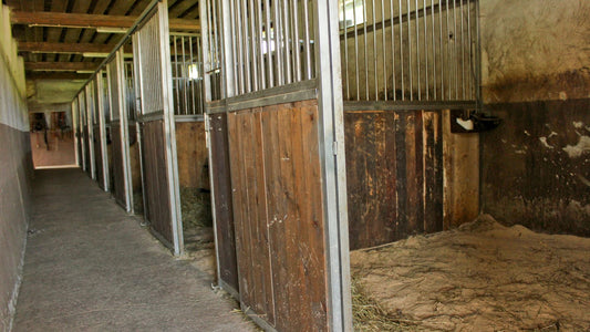 Rätt strö för hästarna - bättre för stallmiljön och framtiden