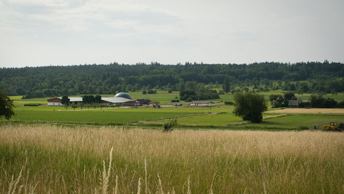 Hästgödsel och biogas – en resurs för framtidens jordbruk