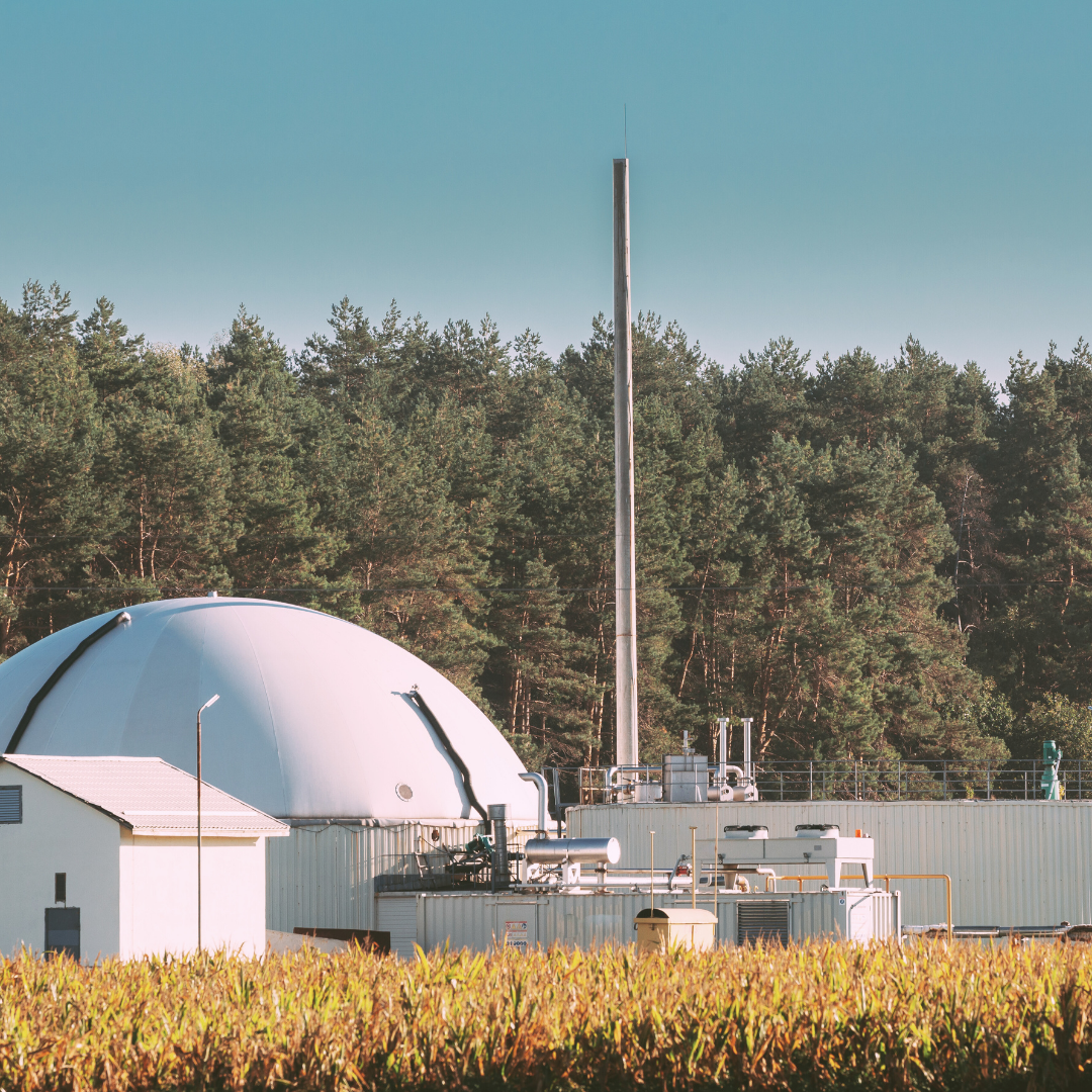 BIOGAS - EN HÅLLBAR ENERGIKÄLLA